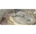 Tapis de Souris XXL Sol Lunaire