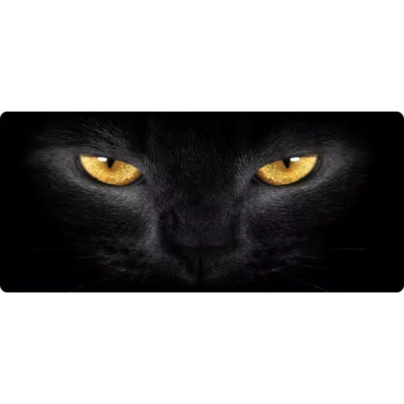 Pack Confort Chat Noir